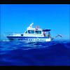 images/mathraki_boat_cruises/mathraki_cruises_009.jpg